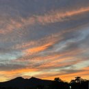 등나무운동장 이미지