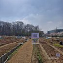 친환경나눔텃밭 | #도봉구 #쌍문동친환경나눔텃밭 #텃밭활동 #기록 #20250408