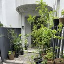 카페오브젝트 이미지