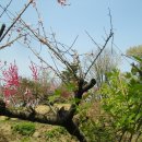 대공원역 이미지