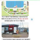 수영로 554번길 이미지