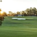 꿈속에그린l 이미지