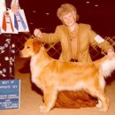 BOSS켄넬 이미지