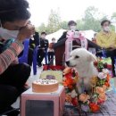 백구로-1 이미지