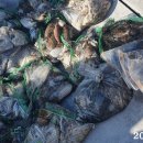 선단체육문화센터 이미지