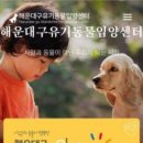 미래펫동물병원 올치올치