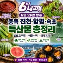 준호농장 | 6시 내고향 6월 29일 충북 진천·함평·속초 특산물 총정리｜발효고추장·애플수박·성게택배 정보