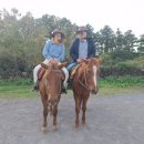 오라방식당 이미지