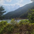 kim's home 이미지