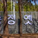 청사포로 이미지