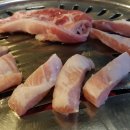 놀란돼지 Daum카페