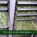 여주-0170 네이버블로그