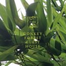 당나귀숲 이미지