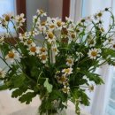 햇살마트 이미지