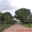 도래도래민박 이미지