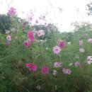 당신의 인생사진 이미지