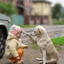 영남행정사 이미지