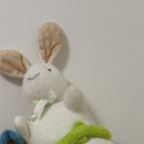 안광목장 | 백문백답