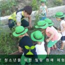 힐링원예협동조합 이미지