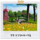 보강천 미루나무숲 | 조용한 증평 나들이, 보강천미루나무숲 강력 추천
