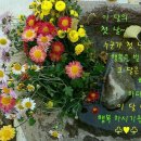 내가 만일 ~ [살아가는 이야기] 이미지