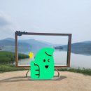 7월 경기도 갈만한곳 양평 두물머리
