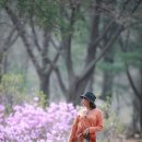 더고은 이미지