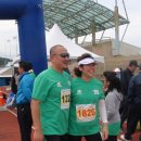 서사라 동물병원 이미지