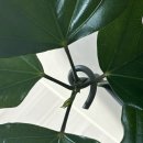 혜원기프트 이미지