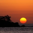 몽산포항 이미지