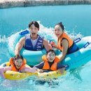 스플라스리솜 이미지