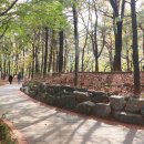 [어린이 공연개발 워크숍]  황금빛 언덕의 모험 | 수원시 권선 중앙공원