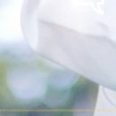 마디신경외과의원 네이버블로그