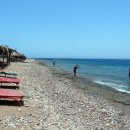 사우스 오아시스 이미지