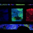 빠져든다... 빠져든다... 빠져든다... / 깊이 빠져 보다: 알버트 전시 관람 후기 / CGV 미디어아트 전시