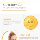 H 밸런스 이미지