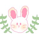 헤나미용실