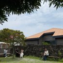 더반스위트 | 제주 구좌 카페 헛간 더반스위트 시골 감성 추천 내돈내산 후기 (고양이 카페)