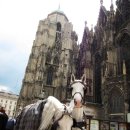 프린스여관 이미지