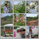 참사랑농원 이미지