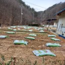 자명농장 이미지