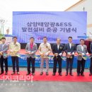 삼양 태양광발전소 이미지