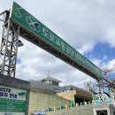 보라사진실 | 부산 남부자동차운전면허 시험장에서 교통안전교육 듣고 운전면허 필기 합격 까지!