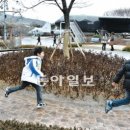 한방어린이공원 앞 이미지