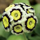 삼정래미안공인중개사사무소 이미지