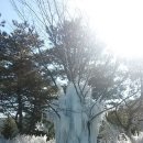 평창(하)휴게소 이미지