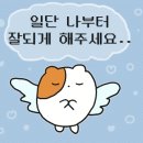 라피네 애견스파 이미지