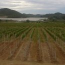 전일농장 이미지