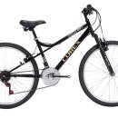 코렉스 자전거 이미지