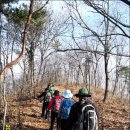 함라초등학교 이미지